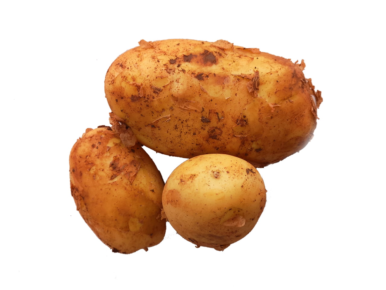 Agria Patates kızartmalık
